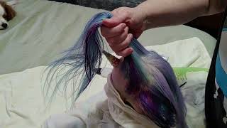 Fantasy Reborn Doll Prism Goes to the Hair Salon!