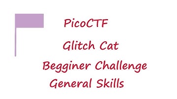 PicoCTF 2022 - Glitch Cat | picoMini General Skills Challenges