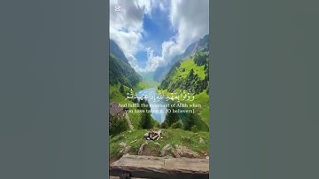 الآية (90)من سورة النحل للقارئ ادريس أبكر #nature #اكسبلور #قرآن #دويتو #حالات_واتس #ادريس_ابكر