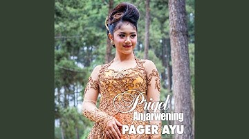 Pager Ayu