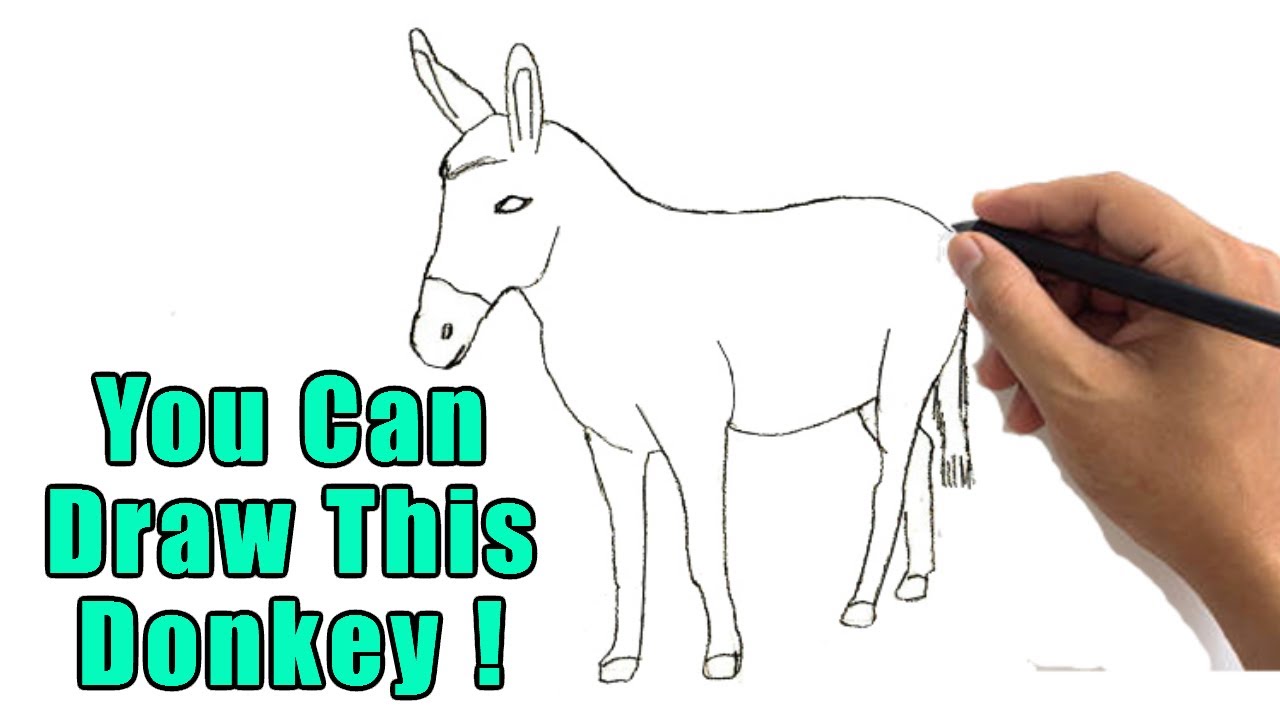 How to Draw a Donkey Drawing for Beginners | Easy Donkey Outline