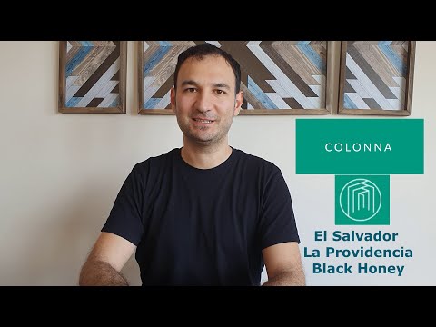 Colonna Coffee İngiltere | El Salvador La Providencia Black Honey