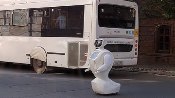 Should we feel empathy for robots?