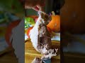 My husband favourite meal| Cheap and easy to make! #short
