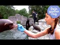 Als Tierpfleger im Zoo - Mara und die Tiere | Dein groer Tag | SWR Plus