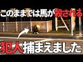 【現行犯逮捕】ポッキー達を下痢にした不審者