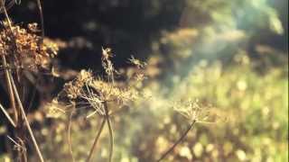 Marlon Roudette Shares Personal Inspiration Behind The Loss Soulculture.co.uk