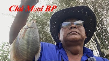 Hành Trình Chinh Phục Câu Cá Sặc Rằn Ở Bù Đốp Tập 4