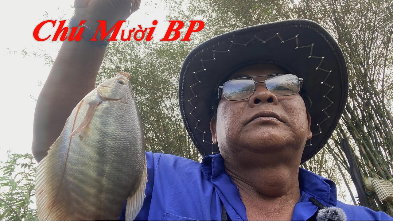 Hành Trình Chinh Phục Câu Cá Sặc Rằn Ở Bù Đốp Tập 4