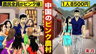 【実在】中国の農村地区…村人全員ピンク嬢。８５００円で遊び放題。