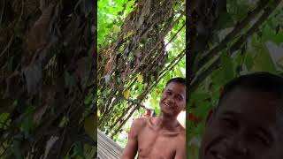 ផុតពីកូនជាង​ ឥឡូវស្ដាប់មេម្ដង