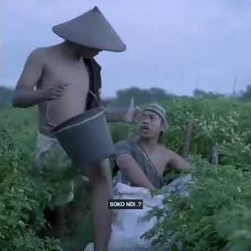 story wa agus kotak demi kowe