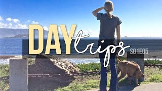 Day Trips // Redwood National Park & Crescent City // S01E05 Travel Vlog - Full Time RV