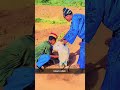 Don MTT Pullo Islam Allah Don MTT Pullo Islam Allah