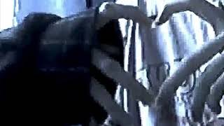 all around me - flyleaf (slowed + reverb)