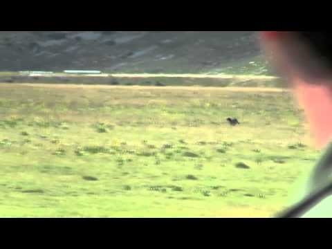 Nosferatus di Val di Chiana a Campo Felice