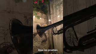 Compramos trompeta china