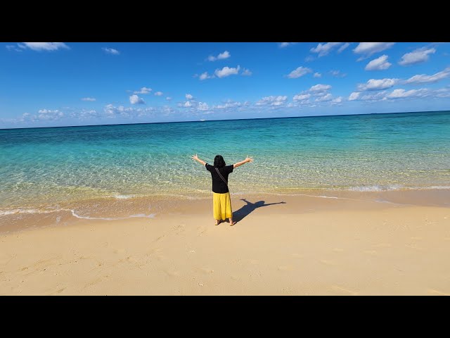 めっちゃ綺麗なビーチ🍺 - YouTube