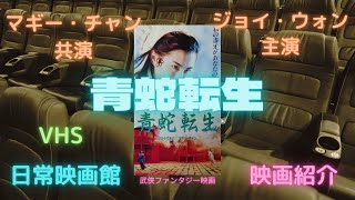 レア作品！香港映画】青蛇転生(青蛇GREEN SNAKE)99分 - 元レンタル店