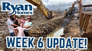 Week 6 - Ryan Home Development Progress! Ryan Homes New Construction Home Process - Cedar Model