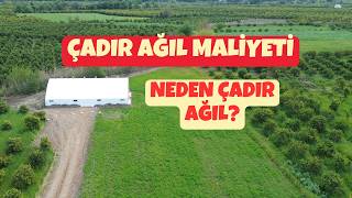 Çadır Ağıl Maliyeti | Neden Çadır Ağıl Yaptık ?