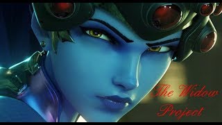 The Widow Project