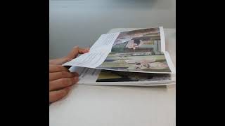 Information ort7 detective adventure News