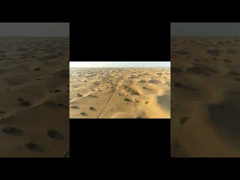 Dubai Desert Conservation Reserve|United ArabEmirates|viralvideo|shorts|Info with sagar