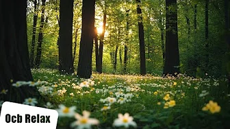 10 Hours of Soothing Piano & Guitar Music for Deep Sleep, Study & Stress Relief (Valeria)