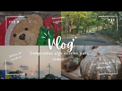 VLOG|Compramos algo enorme🛍️ | Ya estan las decoraciones navideñas🎄#aesthetic #fypシ゚ #vlog #navidad