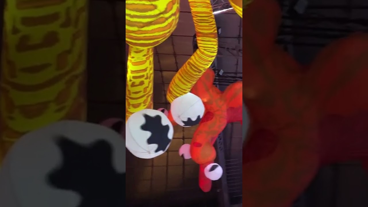 RISING WINTER ART FESTIVAL en MELBOURNE, AUSTRALIA  🇦🇺💙