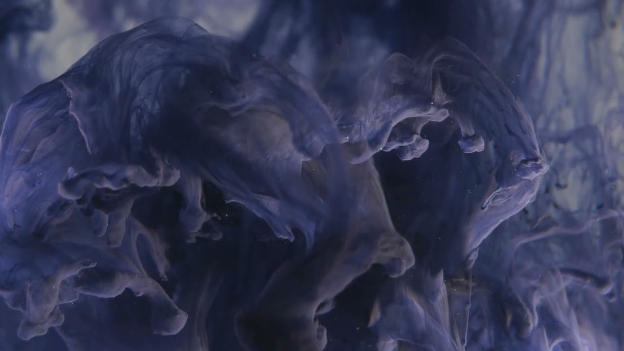 Walk With Me – Fynestrix (Official Visualizer)