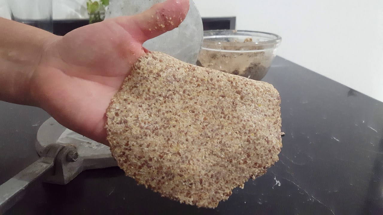 TORTILLAS🌮DE AVENA Y LINAZA MUY SALUDABLES YouTube