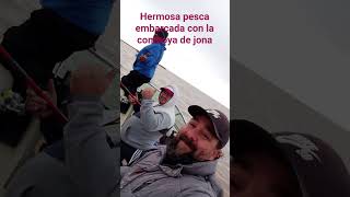 hermosa pesca embarcada en la camboya de jona #berisso #berisso #pesca #fishing #pejerrey #pejerrey