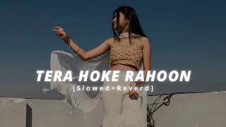 Tera Hoke Rahoon Lo-fi (Slowed + Reverd) In Song asfaqueanwer 1.0