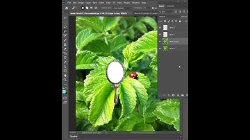 Magnifier Effect in photoshop - Short Photoshop Tutorial