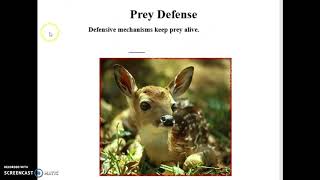 Community Ecology Part 2 Bio 101