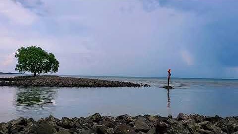 Bãi Rạch Bùn, Gò Công, Tiền Giang.