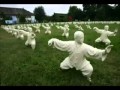 A Most Beautiful  Music ... " TAI CHI "....by Paul Hertzog from the MV  KICKBOXER !