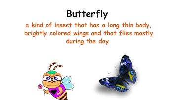 The Life Cycle of Butterflies Lesson using Voki Presenter
