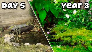Built a DIY Pond - here's what happened