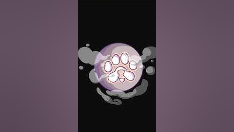 How to Add PAWS to Your Home screen – Easy Guide 🐾