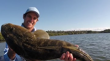 How To Catch Flathead On Lures - GIANT FLATHEAD VIDEO