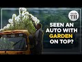 Ever seen an auto with a garden on its roof? | The Hindu