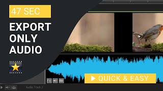 VideoPad Tutorial: How to Export only Audio in VideoPad screenshot 4