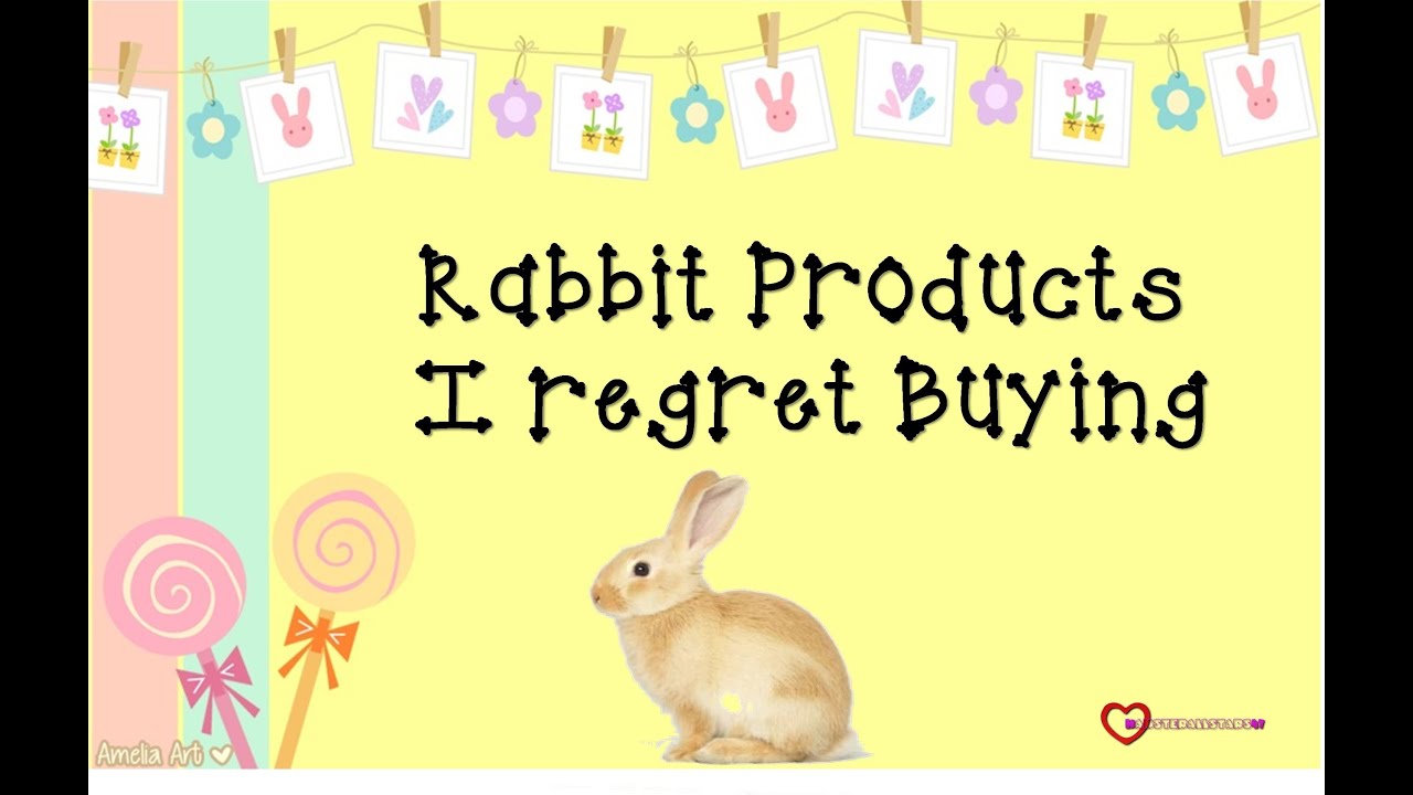 Rabbit Products I regret Buying YouTube