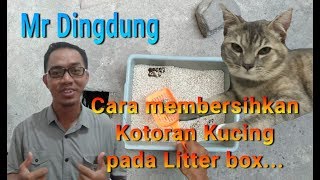 How to clean cat litter sand.  Simple and Easy