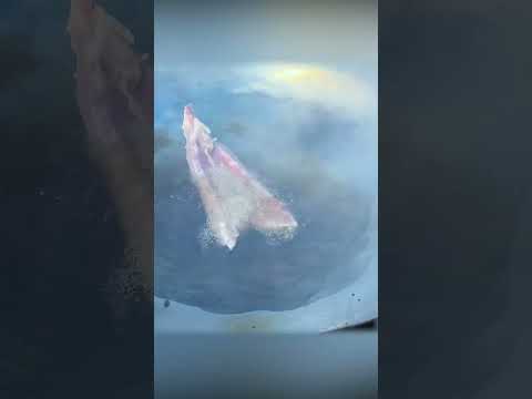 Flavorful Cooking: Meat and Fish Delights