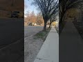 "Early Steps into the Day"