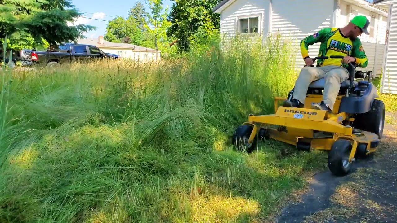 I Found This Overgrown ABANDONED House & Gave It A FREE Lawn Makeover